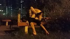 Reproducir Follan en el parque de noche, sexo oral
