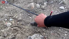 Abspielen Fang des Tages: Riesiger Fake-Schwanz beim Angeln gefunden
